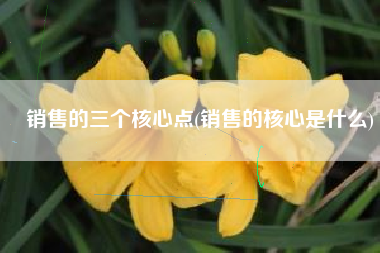 销售的三个核心点(销售的核心是什么)