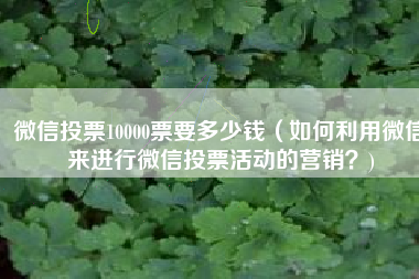 微信投票10000票要多少钱（如何利用微信来进行微信投票活动的营销？)