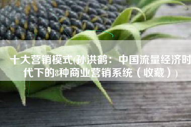 十大营销模式(孙洪鹤：中国流量经济时代下的8种商业营销系统（收藏）)