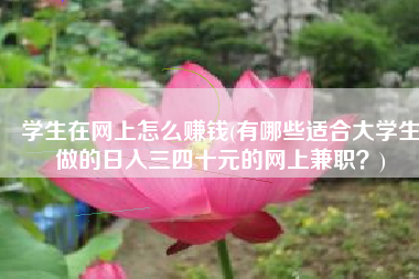学生在网上怎么赚钱(有哪些适合大学生做的日入三四十元的网上兼职？)