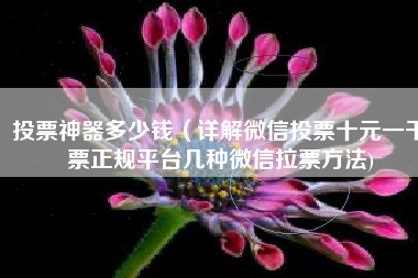 投票神器多少钱（详解微信投票十元一千票正规平台几种微信拉票方法)