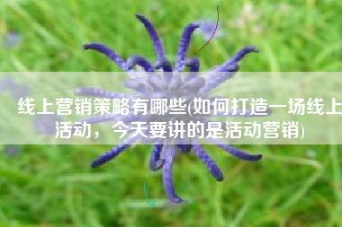 线上营销策略有哪些(如何打造一场线上活动，今天要讲的是活动营销)