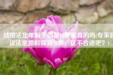 结婚法定年龄下调至18岁是真的吗(专家建议法定婚龄降到18岁，这不合适吧？)