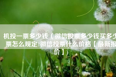 机投一票多少钱（微信投票多少钱买多少票怎么规定?微信投票什么价格【最新报价】)