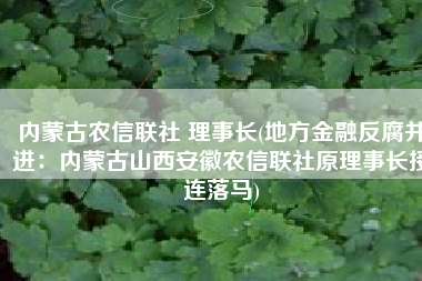 内蒙古农信联社 理事长(地方金融反腐并进：内蒙古山西安徽农信联社原理事长接连落马)
