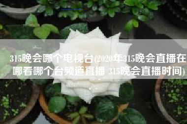 315晚会哪个电视台(2020年315晚会直播在哪看哪个台频道直播 315晚会直播时间)