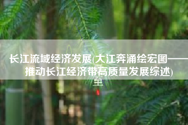 长江流域经济发展(大江奔涌绘宏图——推动长江经济带高质量发展综述)
