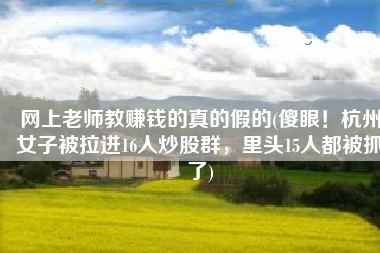 网上老师教赚钱的真的假的(傻眼！杭州女子被拉进16人炒股群，里头15人都被抓了)