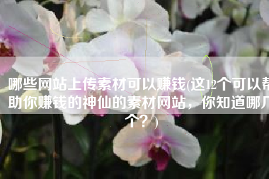 哪些网站上传素材可以赚钱(这12个可以帮助你赚钱的神仙的素材网站，你知道哪几个？)