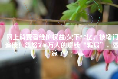 网上消费者维护权益(欠下2.7亿，被堵门追债！忽悠5000万人的赚钱“骗局”，要凉了？)