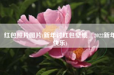 红包照片图片(新年讨红包壁纸‖2022新年快乐)