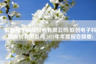 联创电子科技股份有限公司(联创电子科技股份有限公司 2021年年度报告摘要)