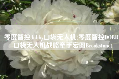 零度智控dobby口袋无人机(零度智控DOBBY口袋无人机战略牵手宏图Brookstone)
