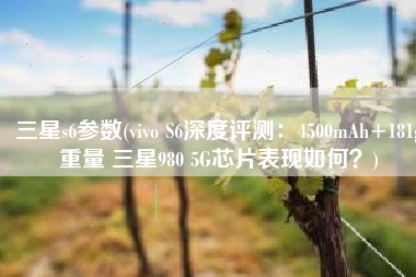 三星s6参数(vivo S6深度评测：4500mAh+181g重量 三星980 5G芯片表现如何？)