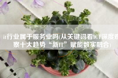 it行业属于服务业吗(从关键词看ICT深度观察十大趋势“新IT”赋能数实融合)