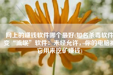 网上的赚钱软件哪个最好(知名杀毒软件变“流氓”软件：未经允许，你的电脑被它用来挖矿赚钱)