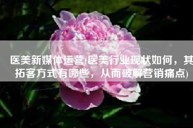 医美新媒体运营(医美行业现状如何，其拓客方式有哪些，从而破解营销痛点)