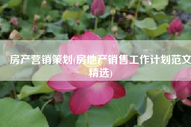 房产营销策划(房地产销售工作计划范文精选)
