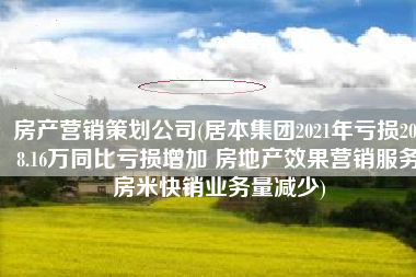 房产营销策划公司(居本集团2021年亏损2058.16万同比亏损增加 房地产效果营销服务房米快销业务量减少)