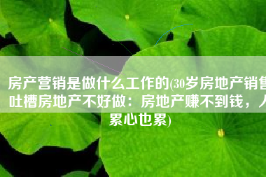 房产营销是做什么工作的(30岁房地产销售吐槽房地产不好做：房地产赚不到钱，人累心也累)