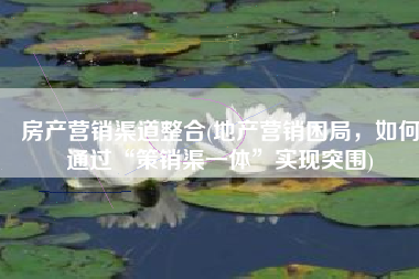 房产营销渠道整合(地产营销困局，如何通过“策销渠一体”实现突围)