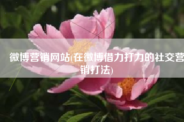 微博营销网站(在微博借力打力的社交营销打法)