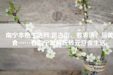 南宁本地生活网(逛古街、看表演、品美食……看南宁如何玩转元旦夜生活)