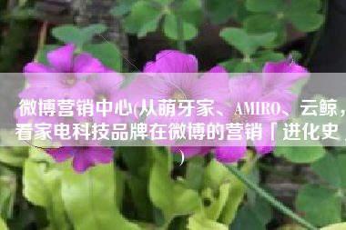 微博营销中心(从萌牙家、AMIRO、云鲸，看家电科技品牌在微博的营销「进化史」)