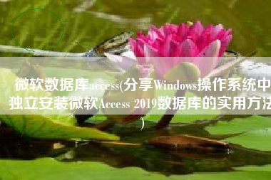 微软数据库access(分享Windows操作系统中独立安装微软Access 2019数据库的实用方法)