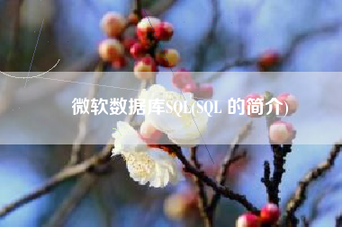 微软数据库SQL(SQL 的简介)