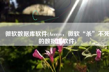 微软数据库软件(Access，微软“杀”不死的数据库软件)
