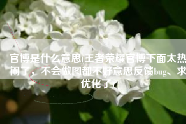 官博是什么意思(王者荣耀官博下面太热闹了，不会做图都不好意思反馈bug、求优化了)