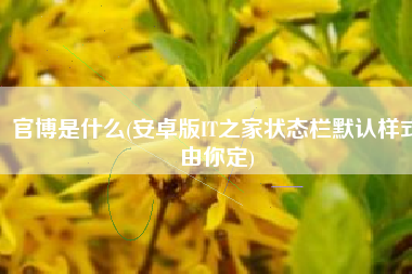 官博是什么(安卓版IT之家状态栏默认样式由你定)