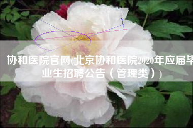 协和医院官网(北京协和医院2020年应届毕业生招聘公告（管理类）)