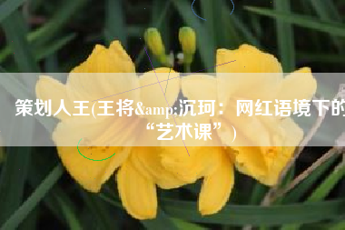 策划人王(王将&沉珂：网红语境下的“艺术课”)