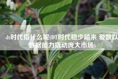 dt时代指什么呢(DT时代稳步踏来 爱数以数据能力撬动庞大市场)