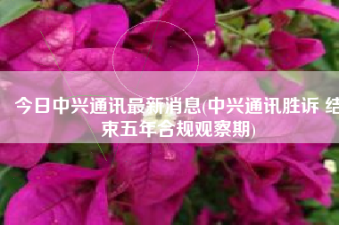 今日中兴通讯最新消息(中兴通讯胜诉 结束五年合规观察期)