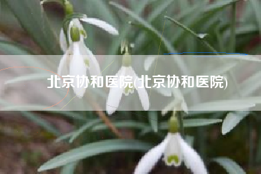 北京协和医院(北京协和医院)