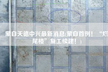 蒙自天德中兴最新消息(蒙自首例！“烂尾楼”复工续建！)