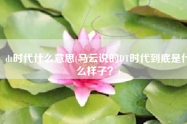 dt时代什么意思(马云说的DT时代到底是什么样子？)
