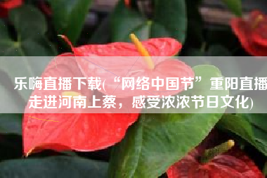 乐嗨直播下载(“网络中国节”重阳直播走进河南上蔡，感受浓浓节日文化)