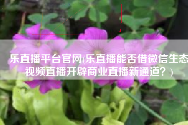 乐直播平台官网(乐直播能否借微信生态视频直播开辟商业直播新通道？)