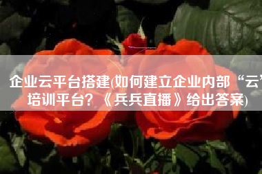 企业云平台搭建(如何建立企业内部“云”培训平台？《兵兵直播》给出答案)