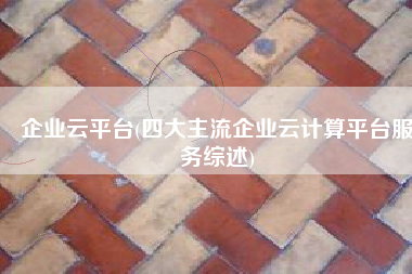 企业云平台(四大主流企业云计算平台服务综述)
