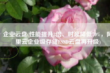 企业云盘(性能提升3倍、时延降低70%，阿里云企业级存储ESSD云盘再升级)