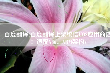 百度翻译(百度翻译上架统信UOS应用商店：适配X86、ARM架构)