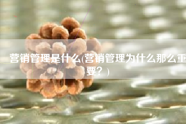 营销管理是什么(营销管理为什么那么重要？)