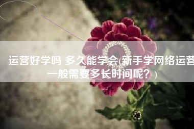 运营好学吗 多久能学会(新手学网络运营一般需要多长时间呢？)