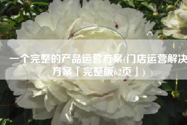 一个完整的产品运营方案(门店运营解决方案「完整版62页」)