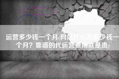 运营多少钱一个月(网站代运营多少钱一个月？靠谱的代运营费用就是贵)